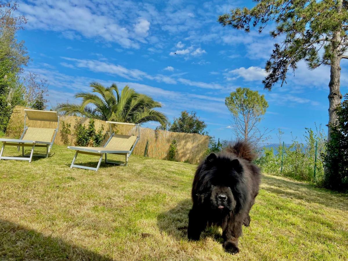 Casolare Del Maestrale - M&M Holiday House Perugia Zewnętrze zdjęcie